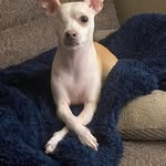 Raymond Burdette - @burdette8982021 - Instagram