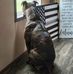 Raymond Burt - Facebook