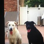 Raymond Callaghan - @rayrayc1 - Instagram