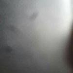 Raymond Cann - @raymond.cann.7 - Instagram
