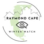 Raymond Cape Winter Watch - @raymondcapewinterwatch - Instagram