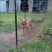 Ray Chamberlain - Facebook
