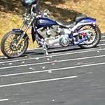 Raymond Chamberlain - @chamberlain_raymond - Instagram