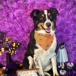 Raymond Clancy - @raymondclancy2 - Instagram