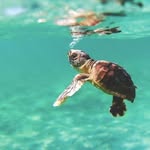 Raymond clapp - @raymond.clapp - Instagram