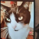 Raymond Clapp - @raymond.clapp.796 - Instagram