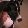 Raymond Claudio - @raymond.claudio - TikTok