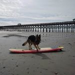 Raymond Cobb - @brayshms - Instagram