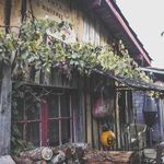 Raymond Collier - @raymondcollier45 - Instagram