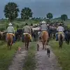 raymondcollier673 - @raymondcollier673 - TikTok