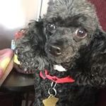 Raymond Colvin - @raymondcolvin - Instagram