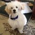 Ray Comstock - Facebook