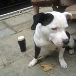 Raymond Connolly - @raymond.connolly - Instagram