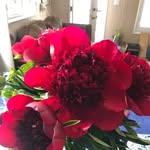 Corey Raymond - @raymondcorey65 - Instagram