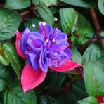 Raymond Corriveau - Facebook
