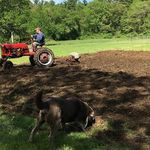 Raymond Corriveau - @corriveauraymond - Instagram