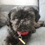 raymondcossins - @raymondcossins - Instagram