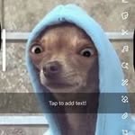 Raymond Cottman - @cottmanraymond - Instagram