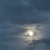 raymondottman - @raymondottman - TikTok