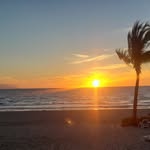 Raymond Coyle - @raymond.coyle.7 - Instagram