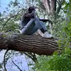 Raymond Craig540 - @raymondcraig540 - TikTok