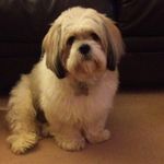 Raymond Craig - @raymond.craig.14 - Instagram