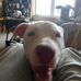 Raymond Crespo - Facebook