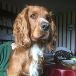 Raymond Roycroft - @roycroftraymond - Instagram