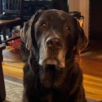 Raymond Currier - @beau112309 - Instagram