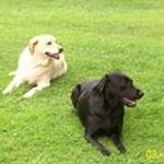 Raymond Curtis - @raymondcurtis2571 - Instagram