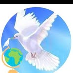 Thomas Raymond - Facebook