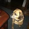 raymonddanforth - @raymonddanforth - TikTok