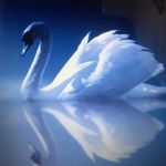 Nicole Raymond Dardenne - @raymonddardenne - Instagram