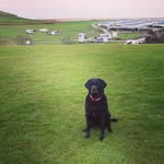 Raymond Davies - @daviesraymond - Instagram