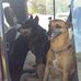 Raymond Deacon - Facebook