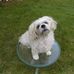 Raymond Devito - Facebook