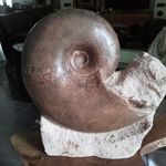 raymond devos - @madrock73 - Instagram