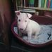 Raymond Downes - Facebook