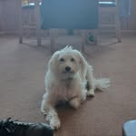 Graham Raymond Collins-dryer - @graham.dryer - Instagram