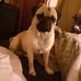 Raymond Drum - Facebook
