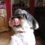 Raymonde Duhamel - @raymondeduhamel - Instagram