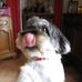 Raymonde Duhamel - Facebook