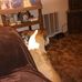 Raymond Eachus - Facebook
