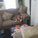 Raymond Eachus - @raymondeachus - Instagram