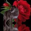 Raymond S Easterling - @raymond.s.easterl - TikTok