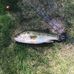 Raymond Eby - Facebook
