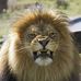 Raymond Echols - Facebook