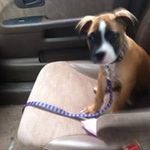 Raymond Ellison - @usern2572 - Instagram