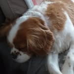 Raymond Ely - @ely_raymond - Instagram