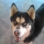 Raymond Engelbrecht - @engelbrecht.raymond - Instagram